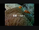 【 オリジナル 】 　岩礁～reef～ by kunatomix