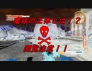 虫とかに侵略されそうなので民間人２人がちょっぴり本気出してみた（地球防衛軍5）其の47