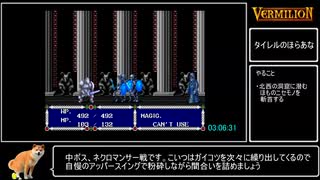 【参考記録】ヴァーミリオンRTA7/10　5:04.50