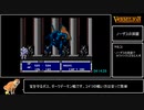 【参考記録】ヴァーミリオンRTA9/10　5:04.50