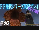 ファイナルファンタジー歴代シリーズを実況プレイ‐FF10編‐【30】