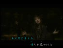 【ニコカラ】 地に還る ～ on the Earth ～ 【PV映像】