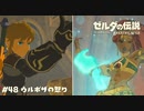 ウルボザの怒り【ゼルダの伝説BotW】 #48