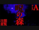 【自己責任】角田の森の廃屋【恐怖ランクA】