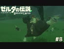 リンク、馬を飼う【ゼルダの伝説 ブレス オブ ザ ワイルド⑧】
