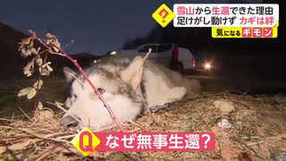 【愛犬】雪山から生還できた理由　足けがし動けず カギは絆