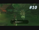 【ゼルダの伝説BotW】実況プレイ-part10-