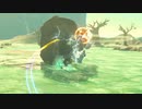 【ブレワイ(BotW)】依頼を受けて、投げたブーメランをマグネキャッチでキャッチしてみた【ドリカラ】
