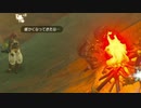 【ブレワイ(BotW)】依頼を受けて、ＮＰＣを横倒しにしたかった【ドリカラ】