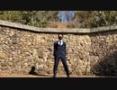 成人式の前にチルノのパーフェクトさんすう教室踊ってみた【ベネトナシュ】