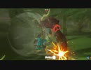 【ブレワイ(BotW)】依頼を受けて、モリブリンに風斬り刀とコログのうちわを装備させて挙動の違いを調べてみた【ドリカラ】