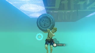 【ブレワイ(BotW)】依頼を受けて、祠の内部にある氷を天井裏に持ち込んでみた【ドリカラ】