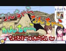 【ホロライブ切り抜き】ときのそらかわいいマイクラ見どころまとめ【12月分】