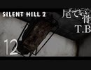 【初見】俺の右足をくらえ！SILENT HILL2 part12