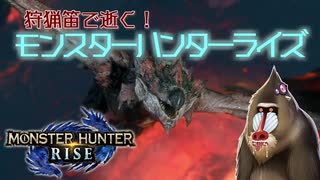 【MHRise】狩猟笛で逝く！1乙したら即終了のモンハンライズ #17【VOICEROID実況】