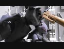エルドラブルート（の設定）を（ＡＣアセン風に）作ってみた