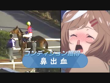 カノープスと見る鼻血ﾌﾞｰでJCを除外になるマチカネタンホイザ