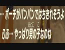 【ブレワイ(BotW)】依頼を受けて、服を限界まで所持してから女装してみた【ドリカラ】