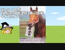 【ゆっくり解説】おしい！名馬　ナイスネイチャ