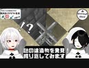 【Minecraft】気ままにクラフト生活 #10【バージョン1.17.1】【きまくら】