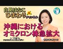 自見はなこひまわりチャンネル第57回「沖縄におけるオミクロン株急拡大」自見はなこAJER2022.1.11(1)