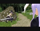 「閃光」　その１【東方MMD】