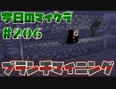 【今日のマインクラフト】～ブランチマイニング～ 【#206】