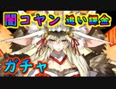 闇コヤンに弄ばれるガチャ【#FGO 】