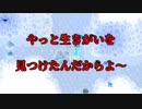 【Stardew Valley#26】亡き祖父の意思（ハーレム）を継ぐ者たち【雑談実況】