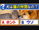【ゆっくり解説】分類学上、イヌはネコの仲間だった！？
