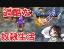 【ドラクエ5/DS版/縛り】10年間必死に耐えました！青年期スタート！！-#6