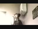 妖精時代-石川秀美-歌♪小山ひな子-拍手=おK-[小山ひな子,sﾂｲｷｬｽ.ﾗｲﾌﾞ]-(cover)-2分23秒-240x136-2MB-自遊空間soka-原版