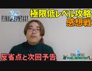 低レベル攻略を完走した感想【FF1 低レベル攻略 感想戦】