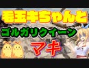 【MOパイオニア】毛玉キちゃんとゴルガリクイーン、マキ