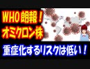 【新型コロナウイルス】 WHO朗報！ オミクロン株の症状 鼻やのどに 炎症が出るが 重症化リスク 低い！