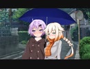 日和見模様　傘