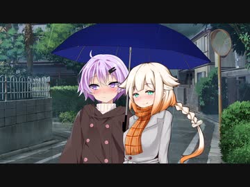 日和見模様　傘