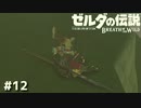 リンク、事故る【ゼルダの伝説 ブレス オブ ザ ワイルド⑫】