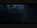 【PS4DBD】ランク1リージョン #216