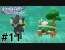 第二次成長期#11【ポケットモンスターブリリアントダイヤモンド】