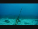 ロンギヌスの槍  | Spear of Longinus in Underwater