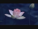 この愛 ZERO『This Loves ZERO』初音ミク　オリジナル曲　