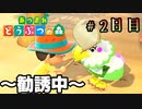 欲望のままに島民を勧誘するぞ【あつまれどうぶつの森】＃ 2日目