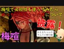 【サムライスピリッツ】梅喧必殺技も使ったらめっちゃ強くなった【SAMURAI SHODOWN】