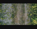 Wilderun - Exhaler (One Take Lyric Video)