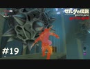 トゲのついた鉄球は危ない【ゼルダの伝説 ブレスオブザワイルド マスターモード】#19