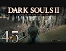 【DARK SOULS2 SCHOLAR OF THE FIRST SIN】1をプレイしてからのダークソウル2 part45【初見実況】