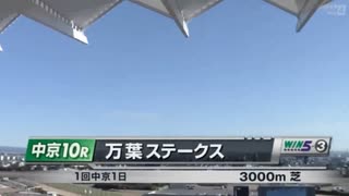 【ウマ娘風】万葉ステークス(中京・2022)