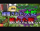 【2017年】捕獲された7mの大蛇 大きく膨れた腹 数日前から行方不明になっていた男性は…【ゆっくり解説】