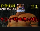 【2人実況】神として鉄槌を下していくおっさん【DARK SOULSⅡ】＃1